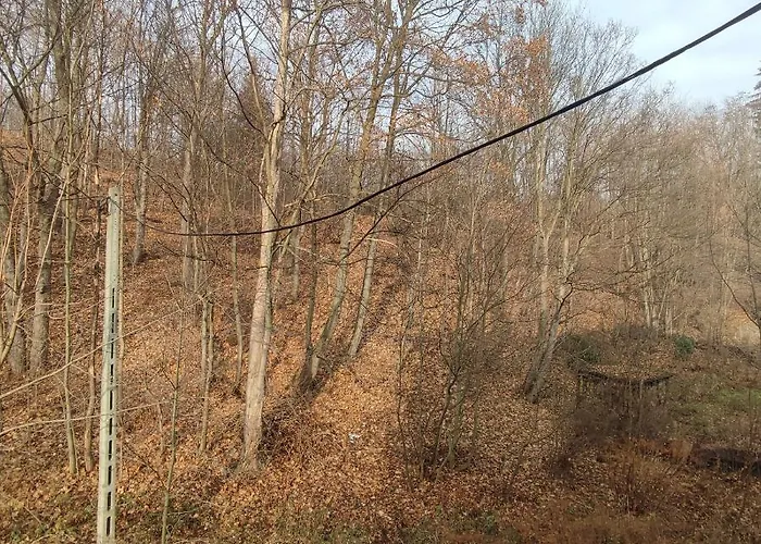 Apartment Krokus Sokolowsko